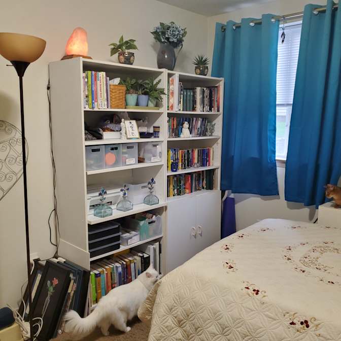 Ayley's room
