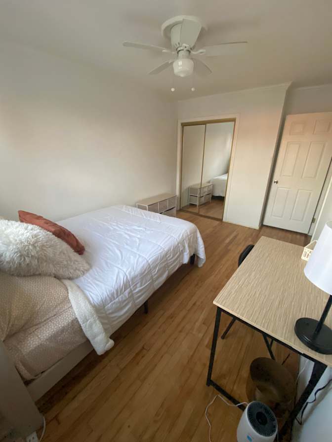 Haelly's room