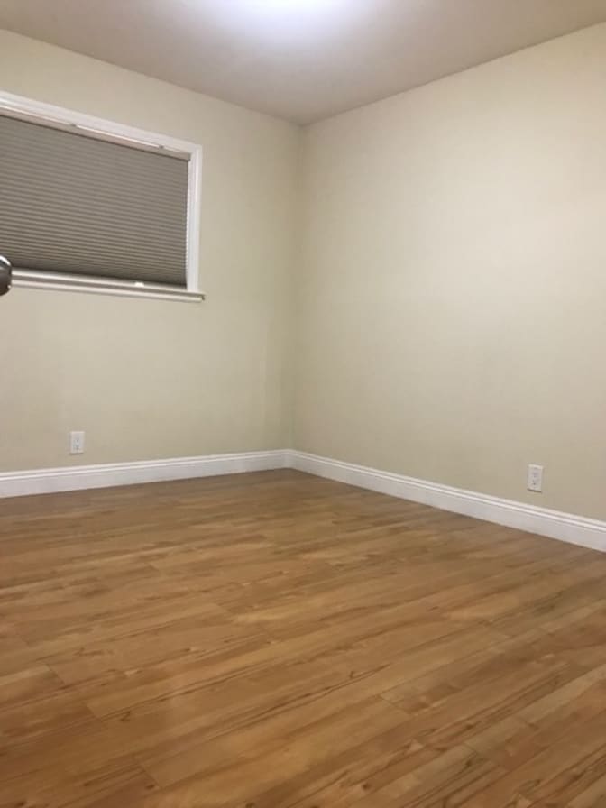 Lynn's room