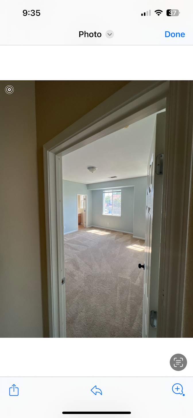 Steph's room