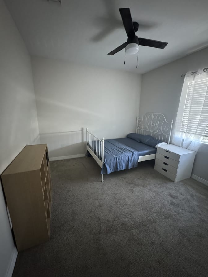 Solomon's room