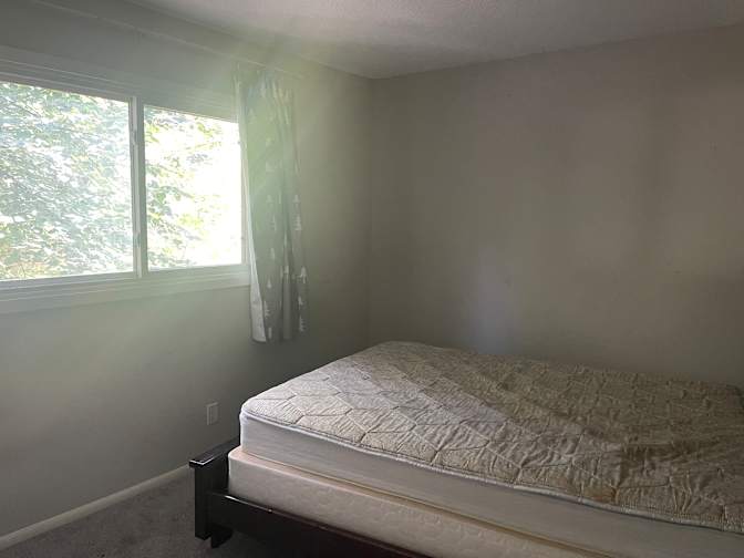 Tamar's room