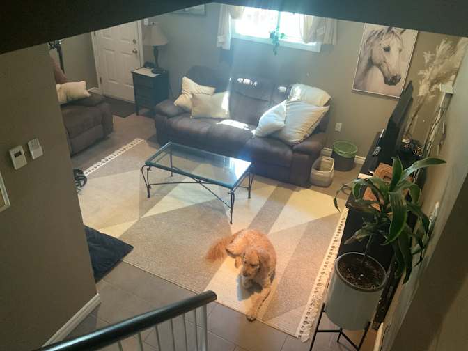 Christine's room
