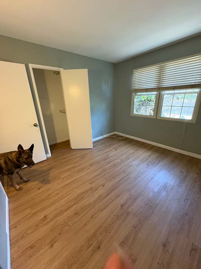 Ashley's room