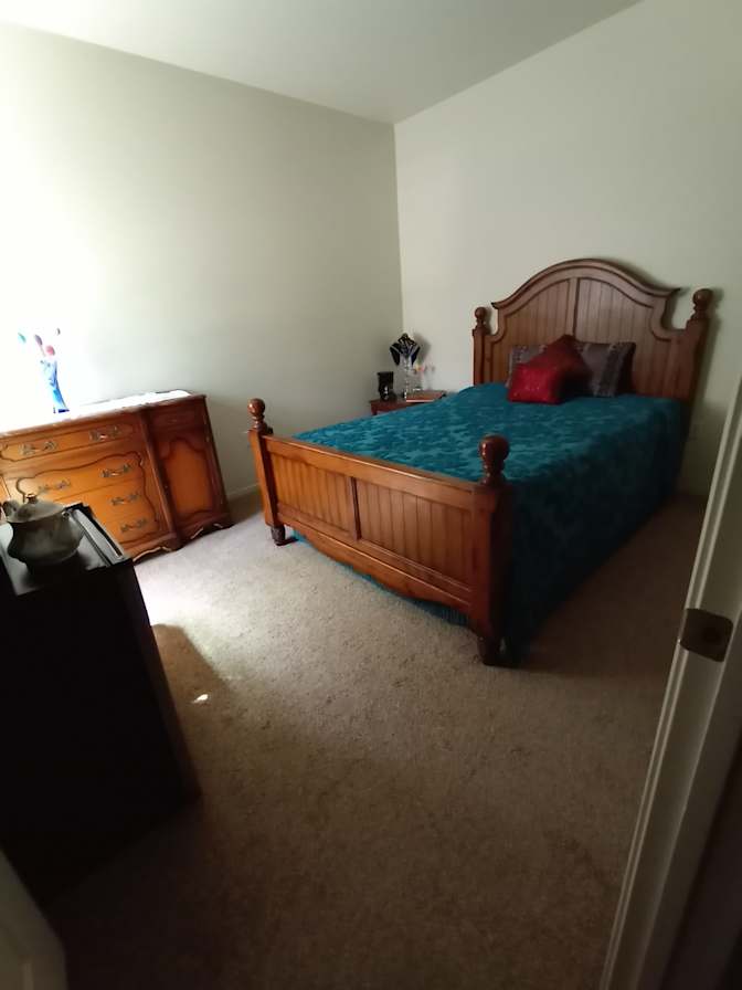 Mary's room
