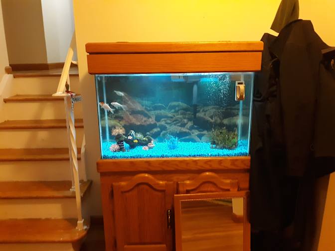 Nick's room