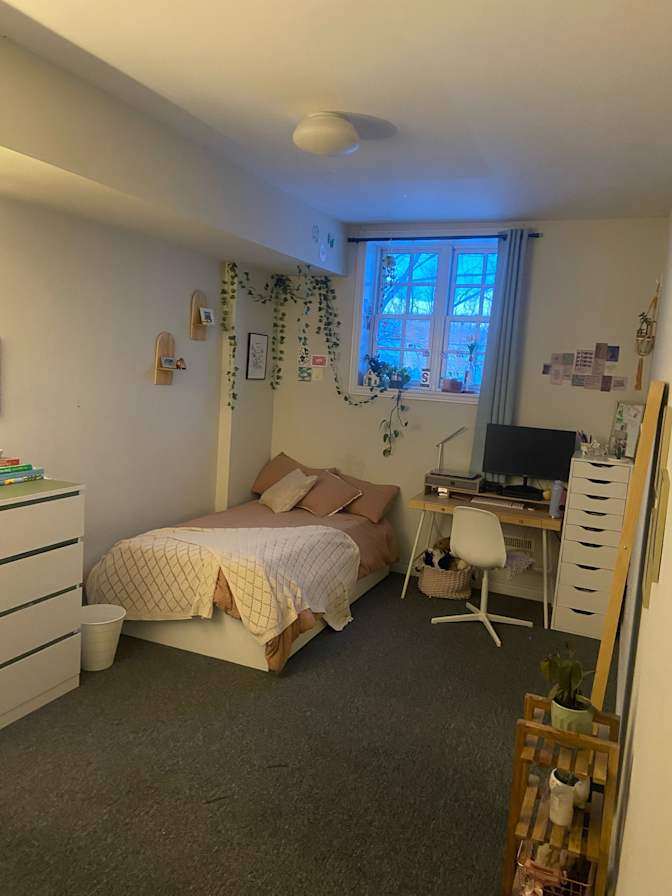 Sofia's room