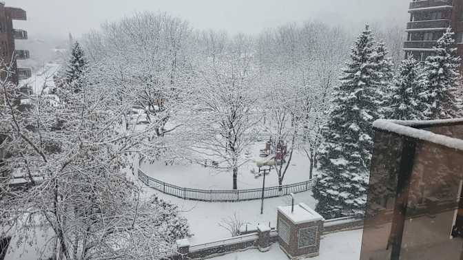 Lucia Guynot de Boismenu's room