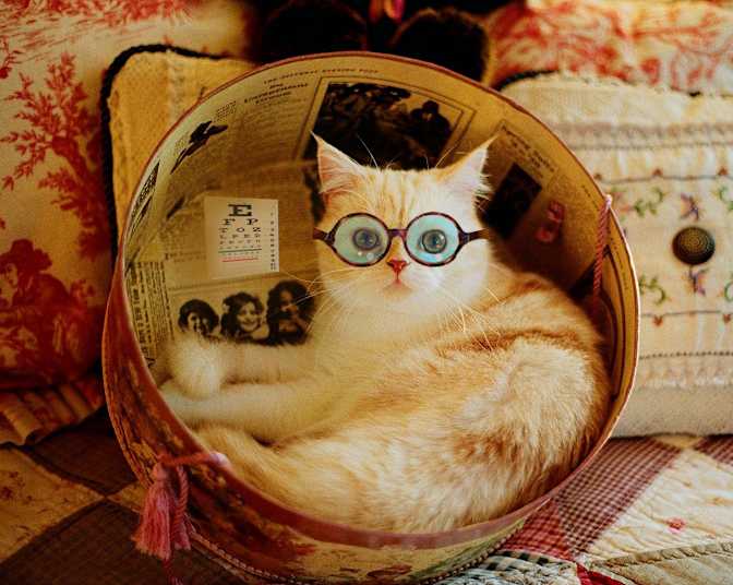 Pamela Sweet's room