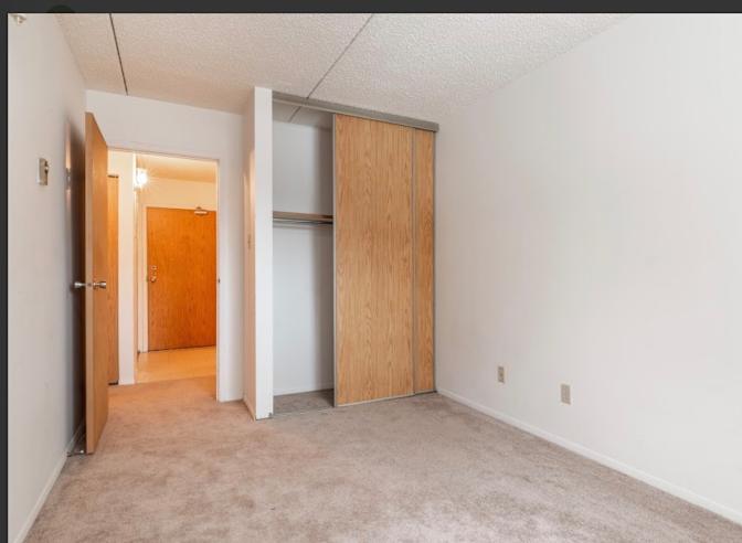 Tabby's room