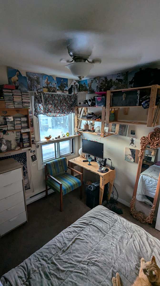 Amy's room