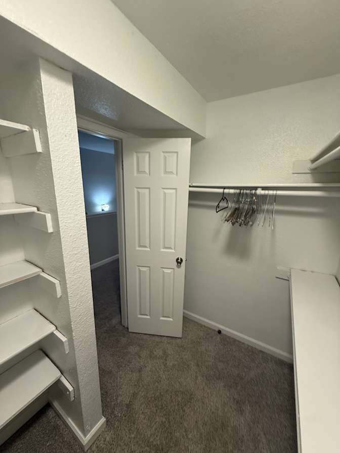Elianna's room