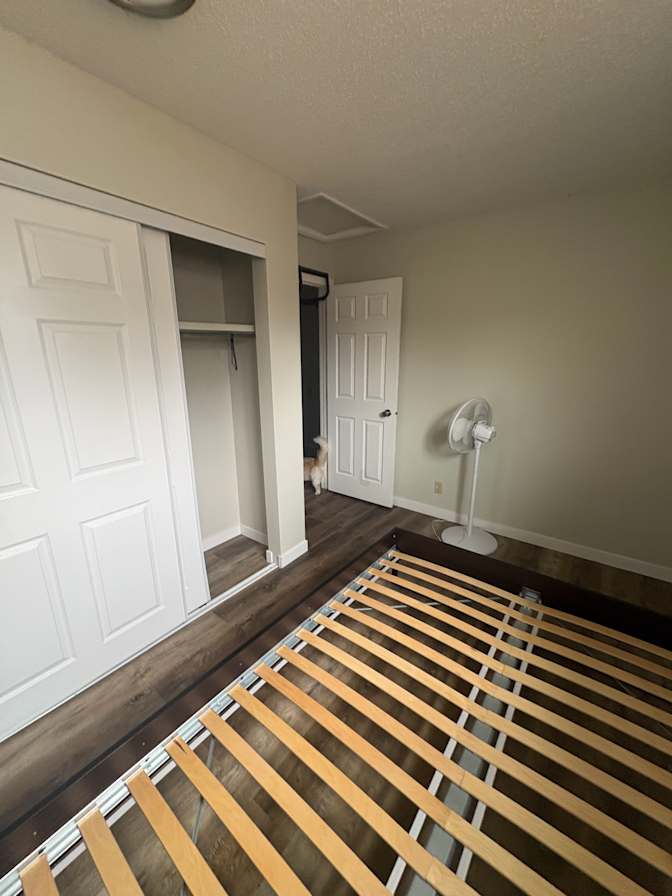 Sami Virji's room