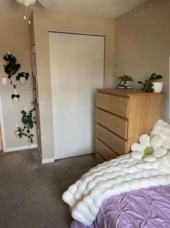 Madison's room
