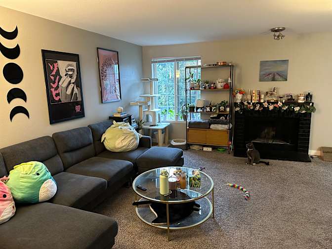 Emily's room