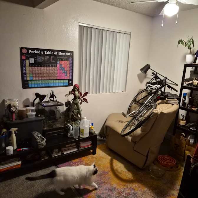 Rae's room