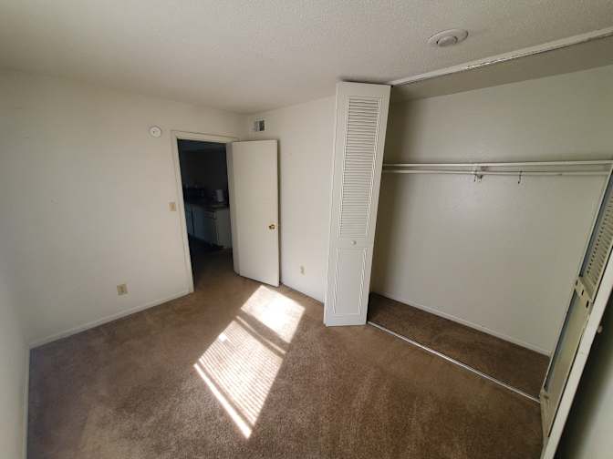 Olivia's room