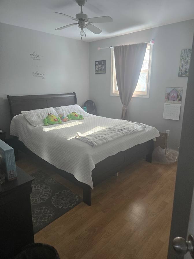 Shelley's room