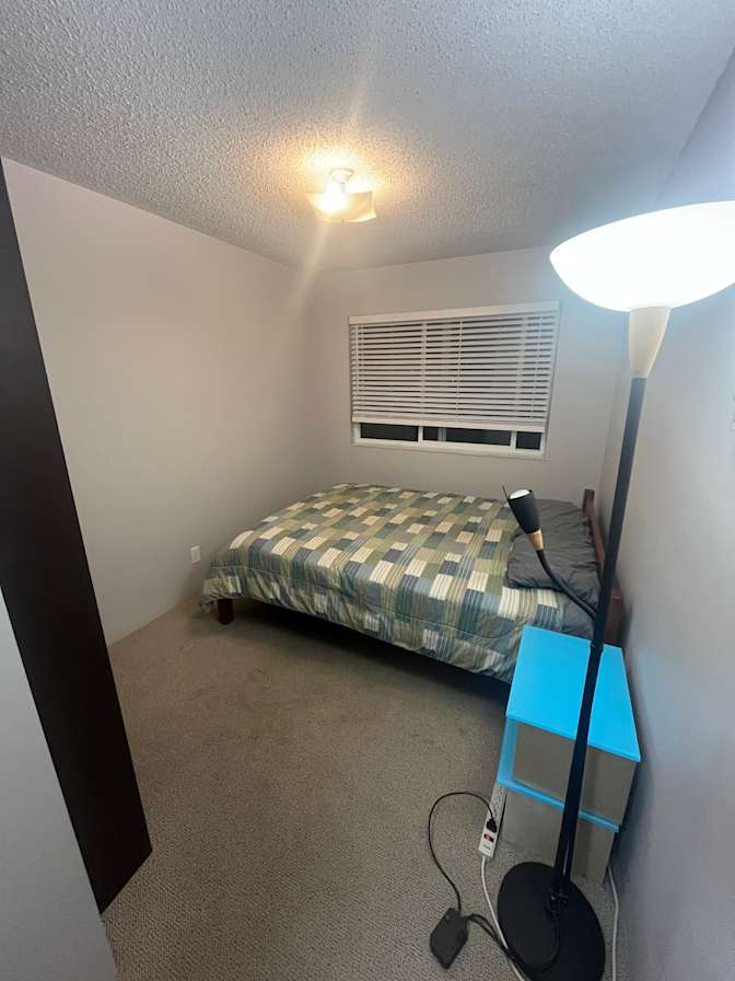 Ross Macdonald's room