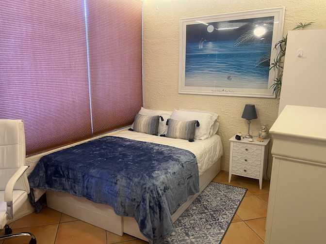 Amy B Amodeo's room