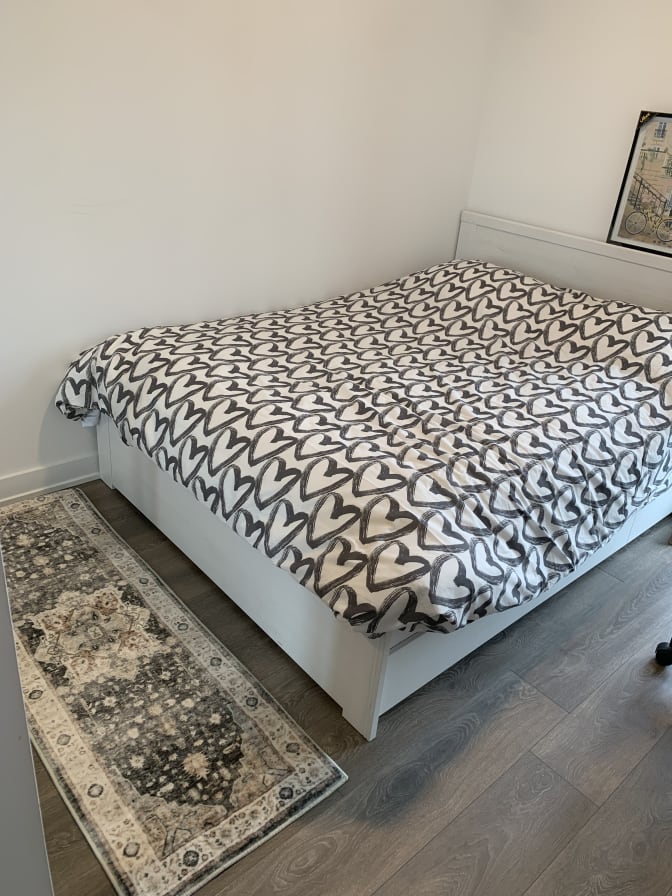Niloofar's room