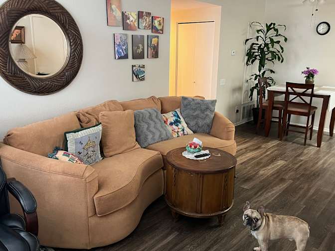 Susan  Hannon's room