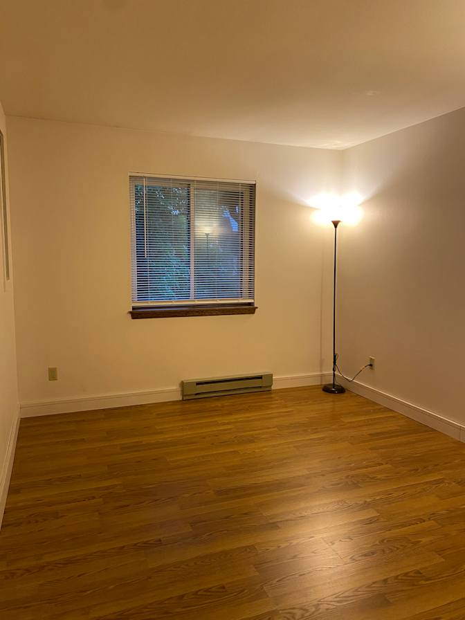 Morelle's room