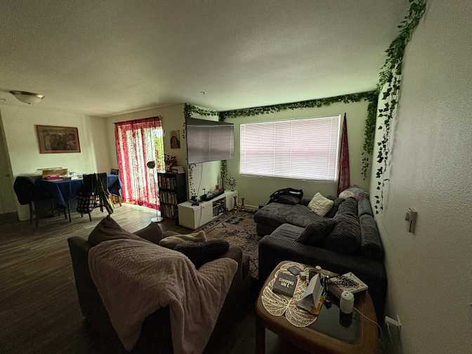 Bri's room