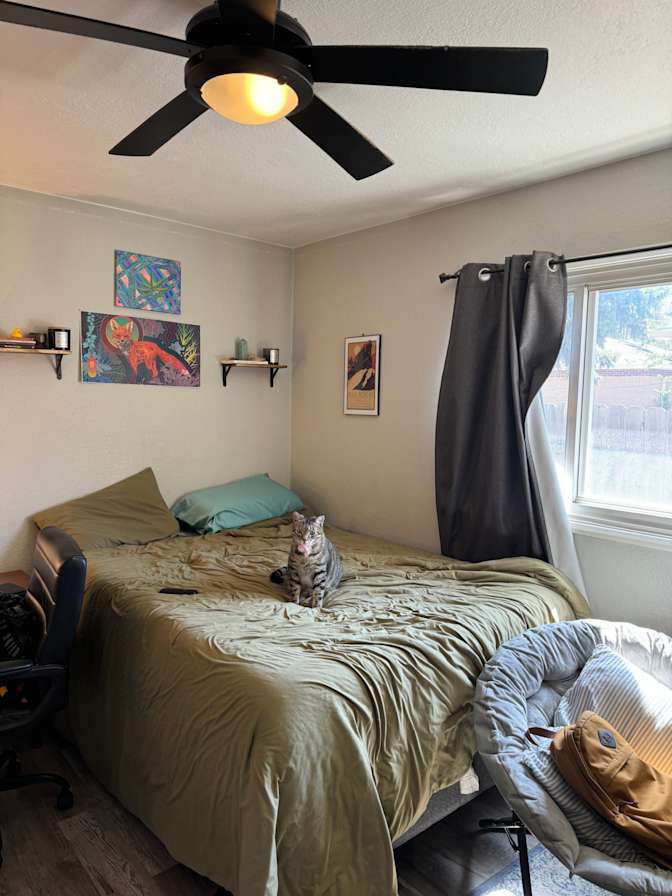 Yangyang's room