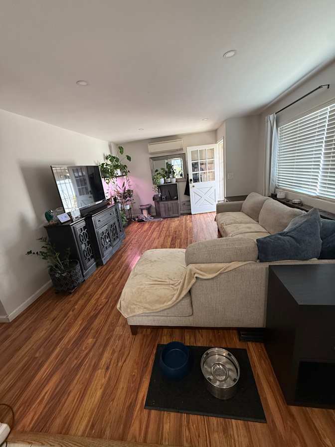 Roxanne's room