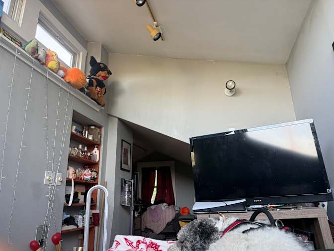 Rose's room
