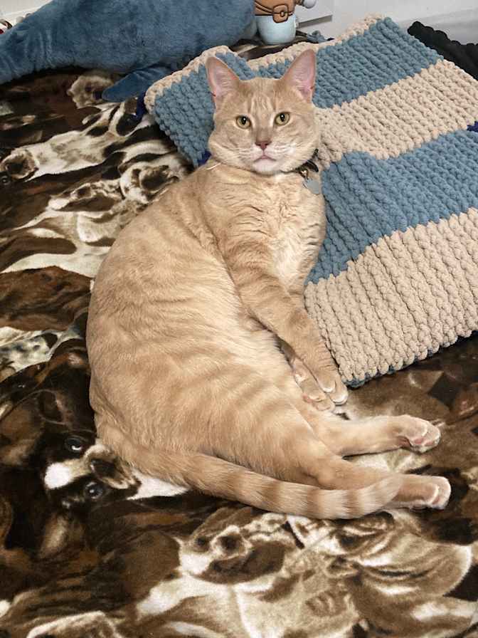 Esther Swanstrom's room