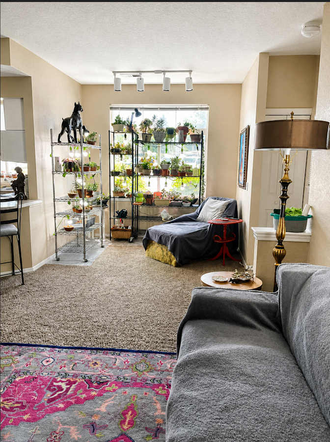 Marie's room