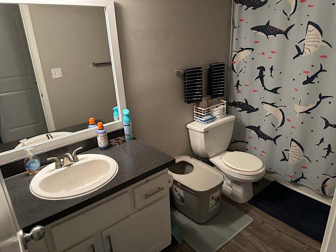 Emily's room