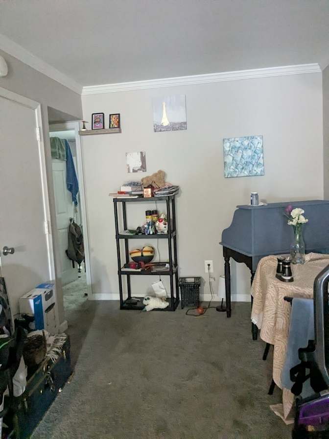 Andrea's room