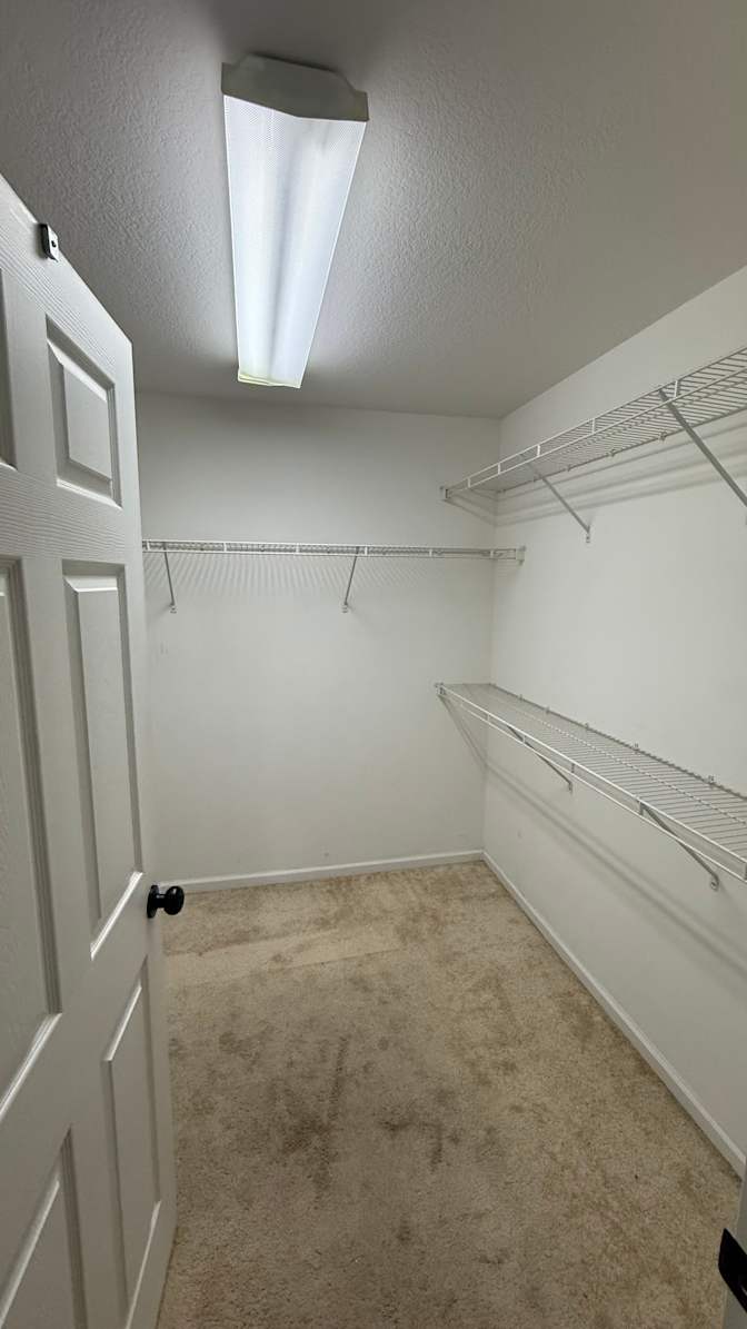 Mario's room