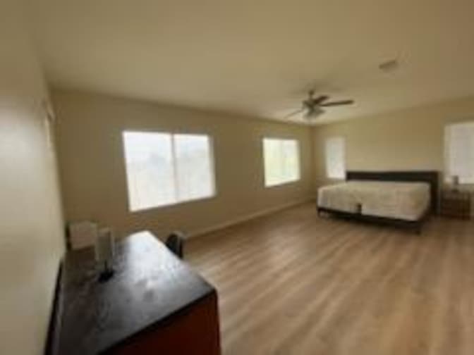 Hamid Daneshvari's room