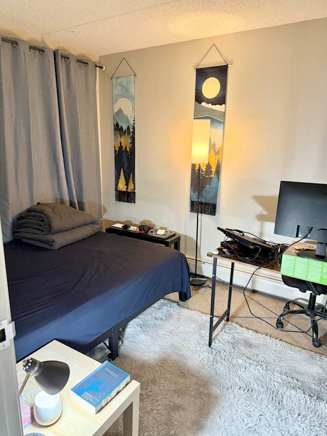 Pouria's room