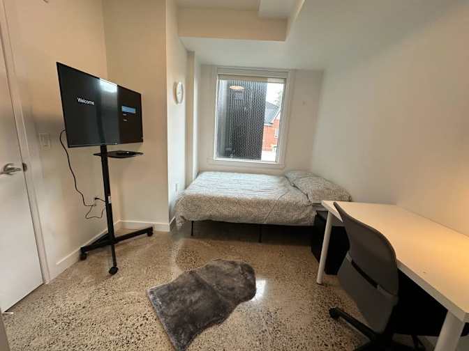 Iryna's room