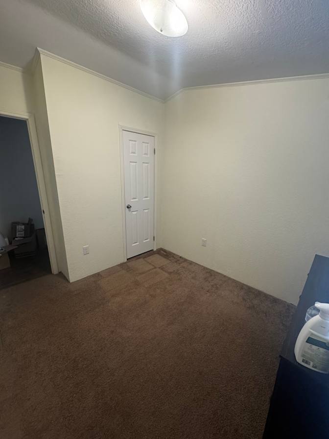 Carli's room