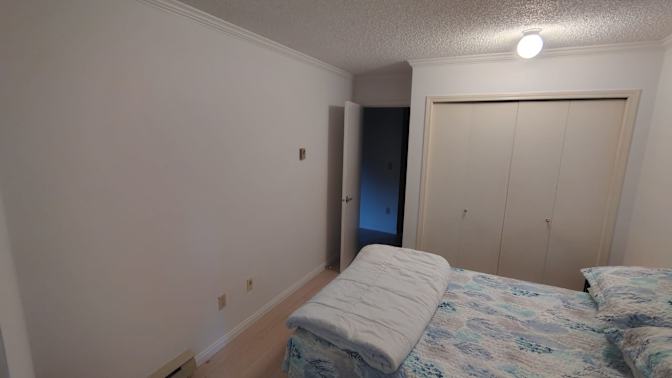 Mikko and Bowie's room