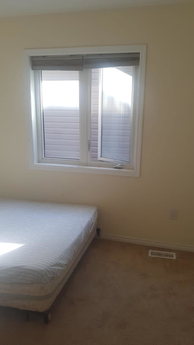 Shaheen's room
