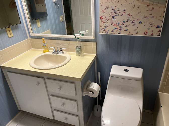 Aviva's room