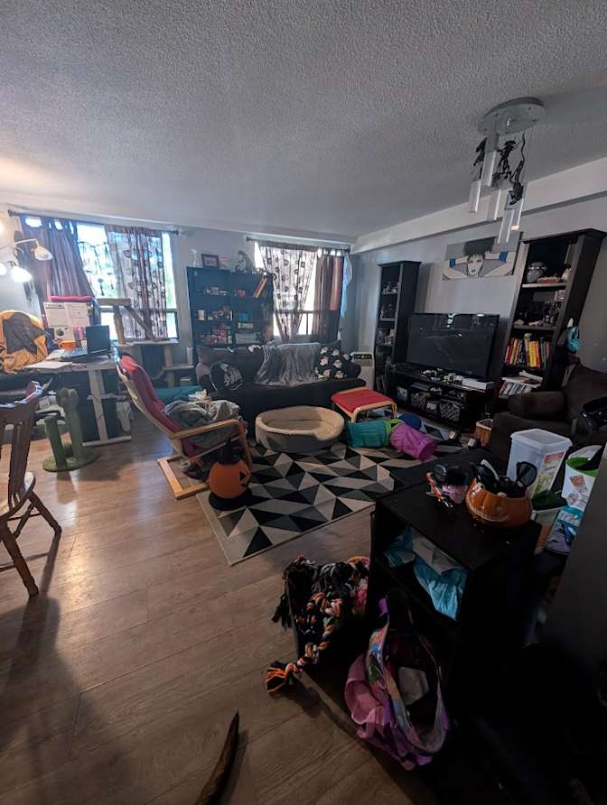 Marie Claire Rock's room