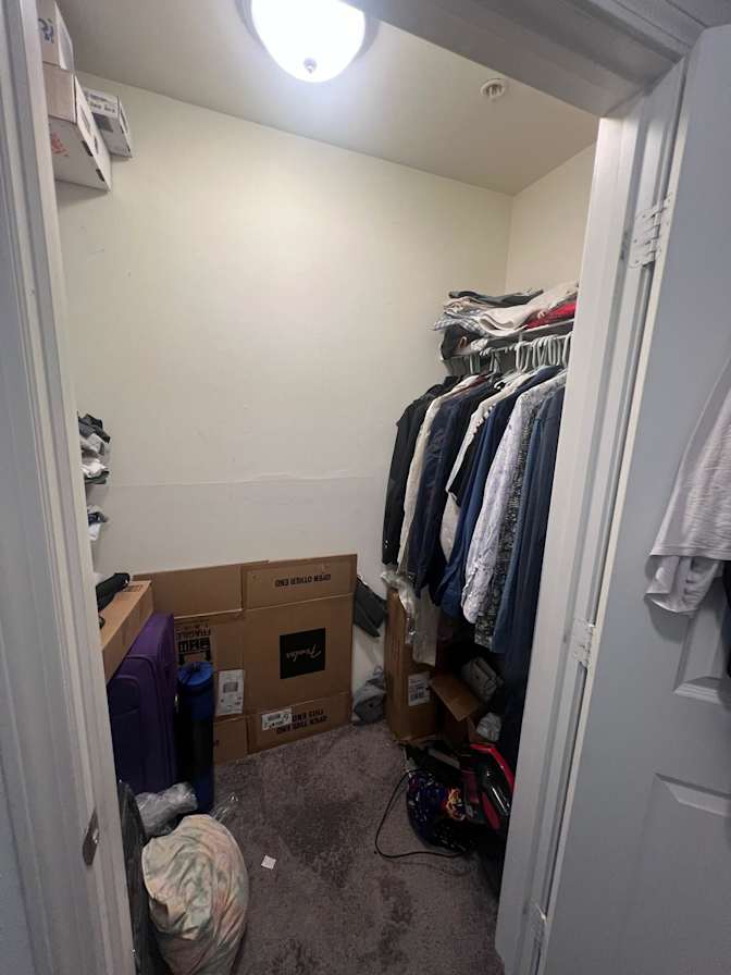 Peter's room