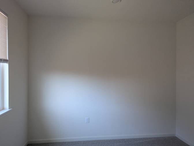 Renee's room