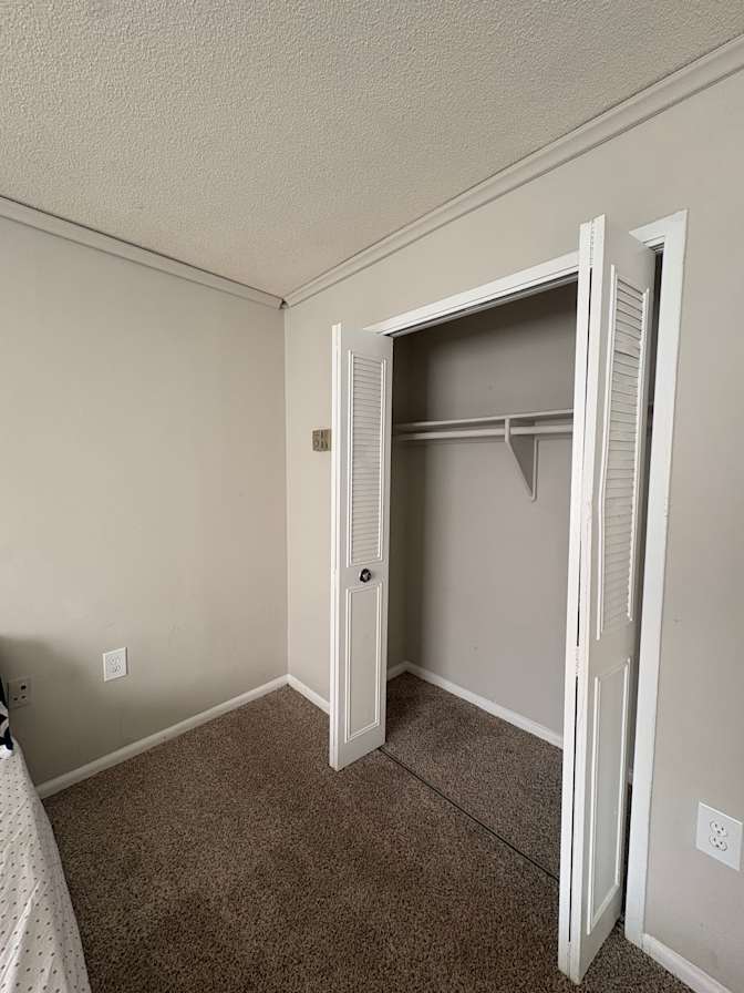 Rosa's room