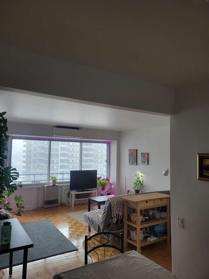 Ozgun Varol's room