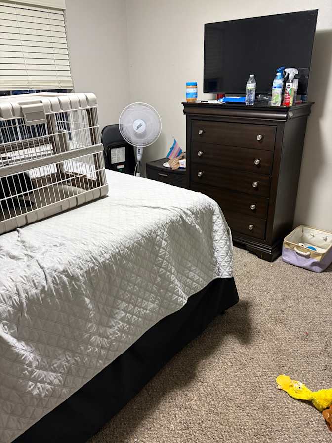Cyrus Turnbull's room