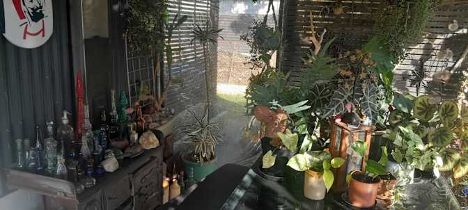 Kevin Lang's room